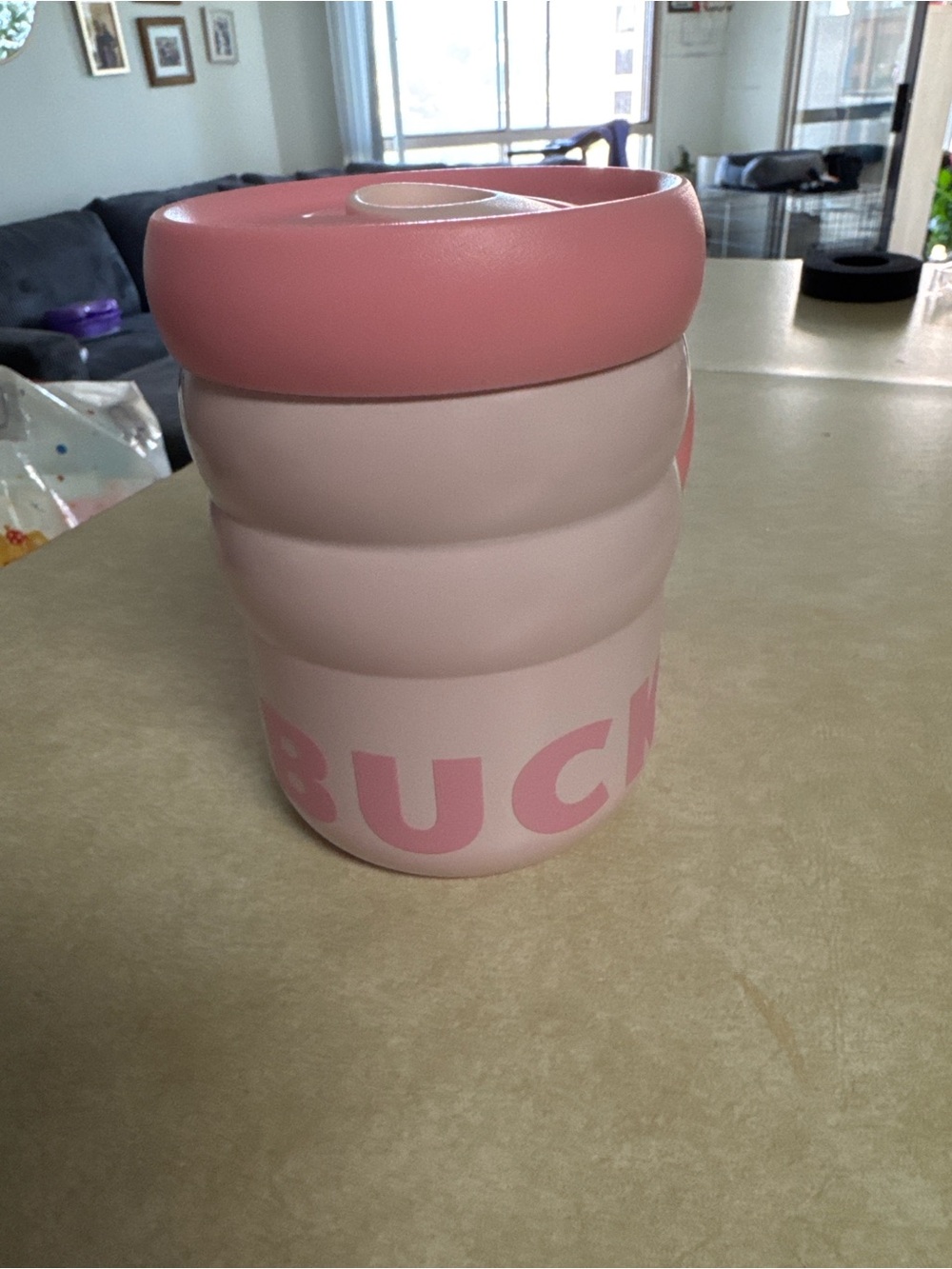 Starbucks Pink and Light Pink Insulated Travel Mug